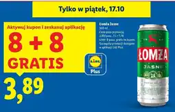 Lidl Piwo Łomża Jasne (Dawniej Export) oferta