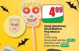 Dino Lizak skull mallow Maxco oferta