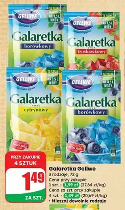 Dino Galaretka borówkowa Gellwe oferta