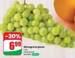 Dino Winogrona jasne oferta