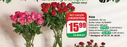Dino Bukiet róż oferta