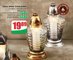 Dino Znicz waza ceim kolor 45 h oferta