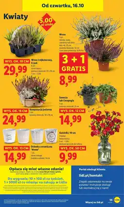 Lidl Osłonka ceramiczna śr. 14 cm oferta