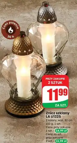 Dino Znicz szklany 30h oferta