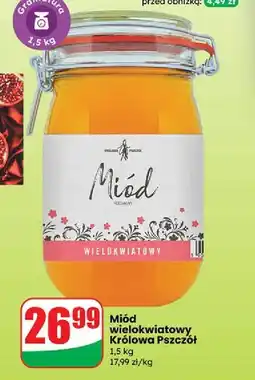 Dino Miód wielokwiatowy Cd Królowa Pszczół oferta