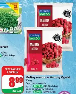 Dino Maliny Mroźny Ogród oferta