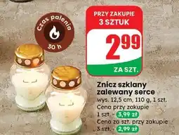 Dino Znicz zalewany serce oferta