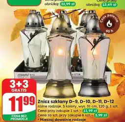 Dino Znicz d-12 oferta