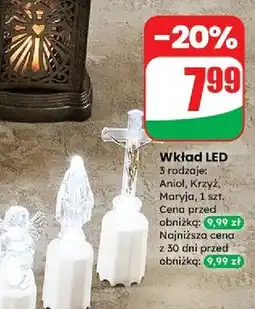 Dino Wkład led maryja oferta