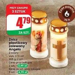 Dino Znicz plastikowy angela 30h Bolsius oferta