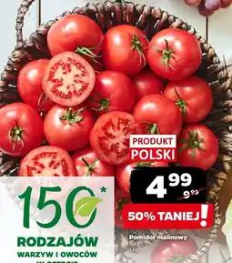 Netto Pomidor malinowy Netto oferta
