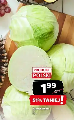 Netto Kapusta biała Netto oferta