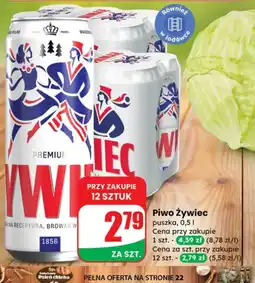 Dino Piwo Żywiec oferta