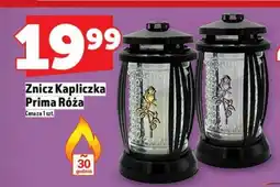Topaz Znicz Prima oferta