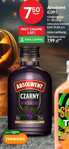 Żabka Absolwent oferta