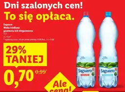 Lidl Woda źródlana Saguaro oferta