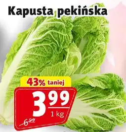 Prim Market Kapusta pekińska Prim Market oferta
