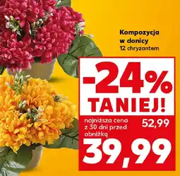 Kaufland Kompozycja w donicy oferta