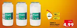 Kaufland ANGELA Wkład olejowy oferta