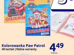 Action Kolorowanka Paw Patrol oferta