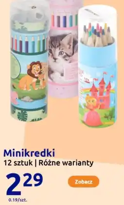Action Minikredki oferta