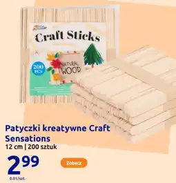Action Patyczki kreatywne Craft Sensations oferta
