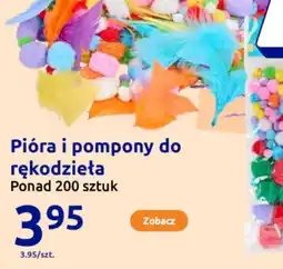 Action Pióra i pompony do rękodzieła oferta