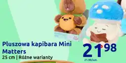 Action Pluszowa kapibara Mini Matters oferta
