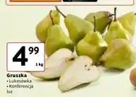 Intermarche Gruszka konferencja oferta