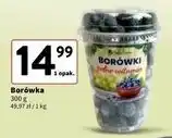 Intermarche Borówki amerykańskie shaker Berrytrade oferta