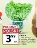 Intermarche Sałata masłowa Z Sadów I Pól oferta