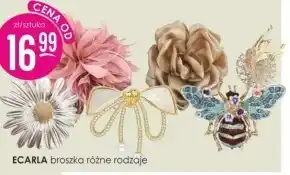 Jaśmin Broszka Ecarla oferta