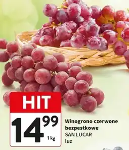 Intermarche Winogrona San Lucar oferta