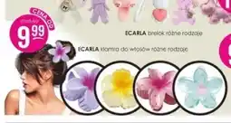 Jaśmin Klamra do włosów Ecarla oferta
