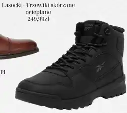 CCC Trzewiki skórzane Lasocki oferta