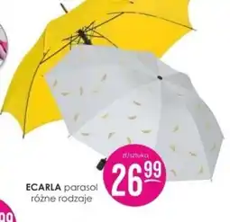 Jaśmin Parasol Ecarla oferta