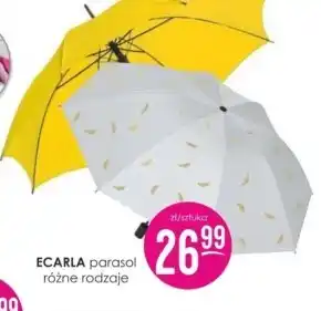 Jaśmin Parasol Ecarla oferta