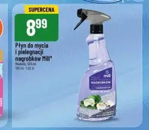 Polomarket Płyn do mycia nagrobków Madonis oferta