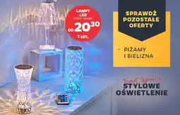 Netto Lampy led oferta