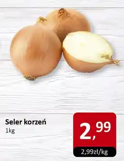 Market Point Seler korzeń Market Point oferta