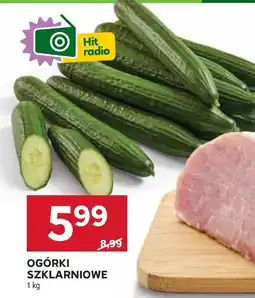 Stokrotka Ogórki szklarniowe Stokrotka oferta
