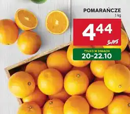Stokrotka Pomarańcze Stokrotka oferta