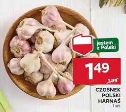 Stokrotka Czosnek polski Harnaś Stokrotka oferta