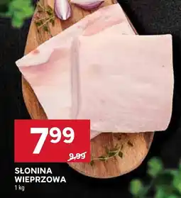 Stokrotka Słonina wieprzowa Stokrotka oferta