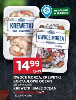 Stokrotka Krewetki białe Ocean oferta