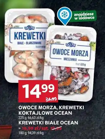 Stokrotka Krewetki białe Ocean oferta