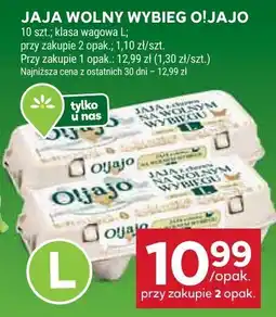 Stokrotka Jaja wolny wybieg Oijajo oferta