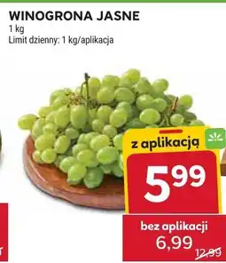 Stokrotka Winogrona jasne Stokrotka oferta