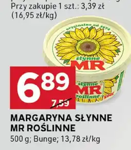 Stokrotka Margarna słynne MR roślinne Bunge oferta