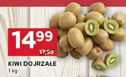 Stokrotka Kiwi dojrzałe Stokrotka oferta
